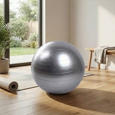 MAME 미니볼 짐볼, 실버