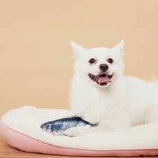 Hamilpet 智能魚貓狗訓練自動玩具, 混色, 1個