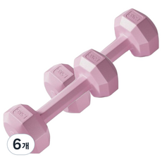 코레시스 예쁜 파스텔톤 홈트용 아령 핑크, 6개, 1.5kg