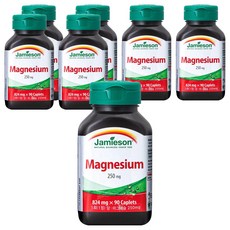자미에슨 마그네슘 250mg, 90정, 7개
