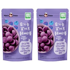 Well&Good 美味風景 孩童ABC優格球, 20g, 藍莓口味, 2包