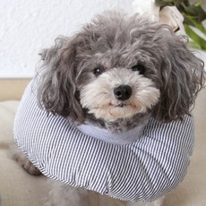 You&Me寵物氣墊頸圈 灰色 S FYQ009, 1個