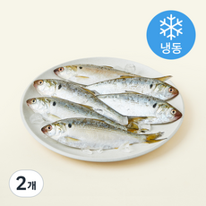 조혜정의멸치연구소 정치망에서 갓잡아 급냉한 삼천포 햇전어 6~8미 (냉동), 2개, 500g