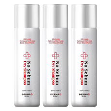 아케이 노세범 드라이샴푸 프레쉬 우디머스크향, 222ml, 3개