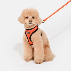 퍼피아 강아지 소프트 하네스 A PDCF-AC30, 오렌지, 1개