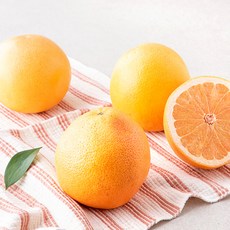 만나다 미국산 자몽, 1kg, 1개