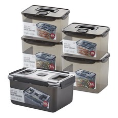 LocknLock 樂扣樂扣 泡菜保鮮盒 4.5L 2入+6L 2入+9.5L組, 1組