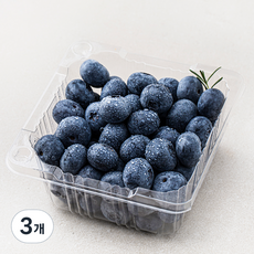 프레시픽 국내산 블루베리 특대, 200g, 3개