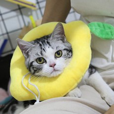 You&Me寵物犬頸枕頸圈 FYQ005 檸檬 M, 1個