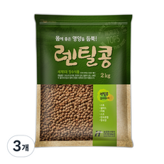 현대농산 해담터 갈색렌틸콩, 3개, 2kg