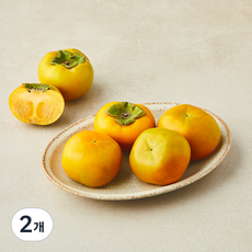 북창원농협 줄단감, 2개, 950g(중과, 5입)