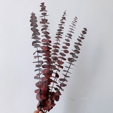 GAPANG 乾燥花, 棕色