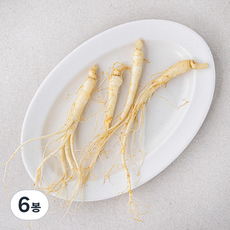 삼계탕용 금산 세척 수삼, 60g, 6봉