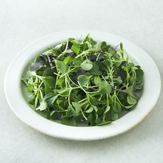 유기농 베이비채소, 1개, 100g