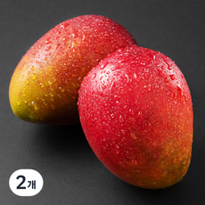 좋은하루 제주는 애플망고지! 중과, 2개, 600g(2입)