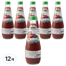 캐슬밸리 100 착즙 사과블루베리 주스, 12개, 300ml
