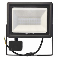 DANCELIGHT 舞光 感應泛光燈 30W 6500K 229 x 248 x 42mm 白光, 1個