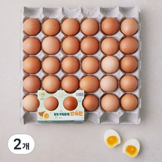 조인 행복 가득담은 반숙란, 30구, 2개