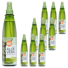 과일나라 알로에베라 모이스처 리얼 수딩 젤 미스트, 310ml, 10개