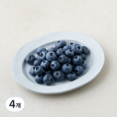 만나다 캐나다산 블루베리, 4개, 125g