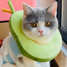 YOU&ME 寵物頭套 FYQ005 酪梨 B S, 1個