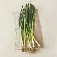 국내산 친환경 대파, 500g, 1개