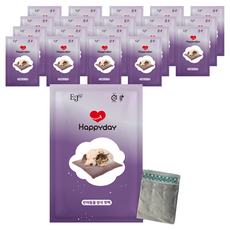해피데이 반려동물 방석핫팩 10p + 파우치세트, 2세트