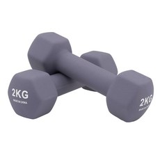 코멧 스포츠 프리미엄 논슬립 아령, 2개, 2kg