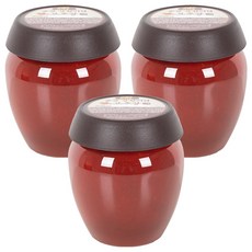 더해담 순창 상황버섯 고추장, 1kg, 3개