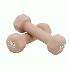 코멧 스포츠 프리미엄 논슬립 아령, 2개, 1kg