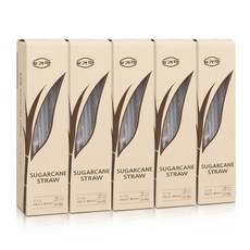 SUGARLAB 甘蔗吸管 大, 50入, 5個