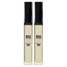 ETUDE 萬飾如易修飾專家遮瑕液, 中性薄荷, 2個