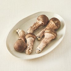 국내산 친환경 참송이버섯, 100g, 1개