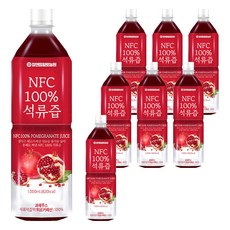 참앤들황토농원 NFC 착즙원액 석류즙, 1L, 8개