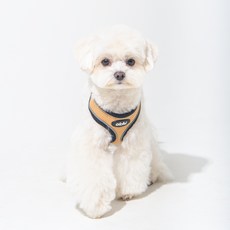 올치 야간 빛 반사 콤비 하네스 A 강아지 산책 목줄, 베이지, 1개 베이지, 1개