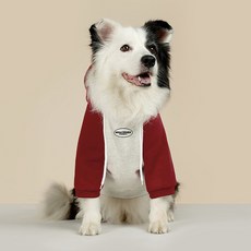 REDPUPPY 狗狗Speed拉克蘭連帽刷毛T恤, 紅色, 1個