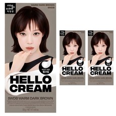 미쟝센 뉴 헬로크림 염색제, 웜다크브라운, 3개