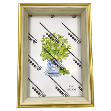 立體相框 寵物 Set 3 金邊深咖 PS發泡外框 有機玻璃 高密度防潮薄板(支架可立), 6吋(內框可放約15x10cm紙張), 1組