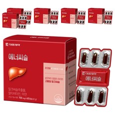 에너씨슬 밀크시슬, 60정, 6개