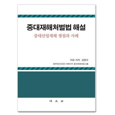 Bobmunsa 重大災害處罰法解說 ： 重大產業災害爭議點與案例 (精裝), 金榮奎