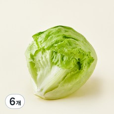 팜에이트 무농약 인증 스마트팜 양상추, 150g, 6개, 1개입