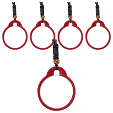 MEO 40대부터 80대 맞춤형 목걸이 돋보기 레드 3.00D, 5개