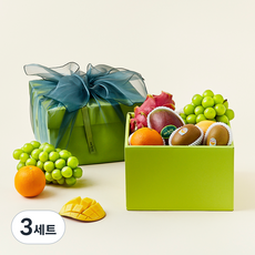 온브릭스 과일 6종 선물세트 옐로우그린 3호 2.38kg(고급보자기 포함), 3세트