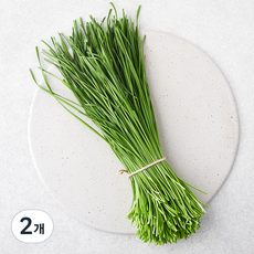 친환경 영양부추, 100g, 2개