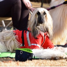 퍼피아 트렉 사각 강아지 그릇, 네이비, 1개