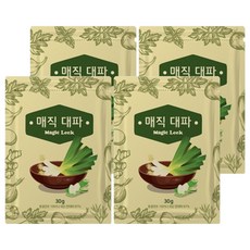매직 대파, 30g, 4개