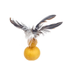 自然鮮 神奇虫嬰果葫蘆 貓玩具 台灣產, 1個, 羽毛型