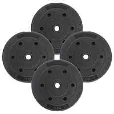 아리프 플렉스 바벨 원판, 5kg, 4개