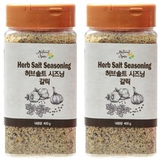 내츄럴스파이스 허브솔트시즈닝 갈릭, 400g, 2개