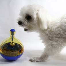 狗狗不倒翁嗅聞玩具 9.5 x 13.5 cm, 藍色, 1個